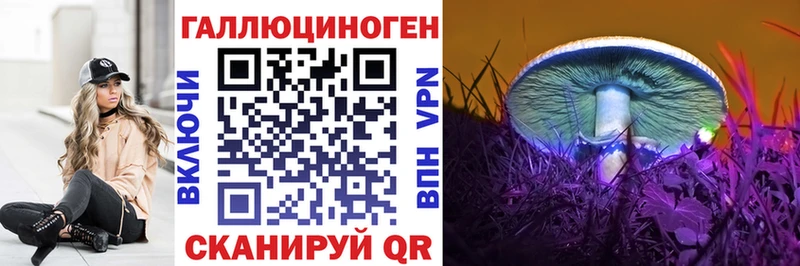Купить  Чапаевск  Галлюциногенные грибы GOLDEN TEACHER 